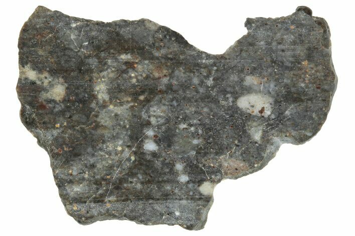Lunar Meteorite ( g) Slice - Laayoune #291635